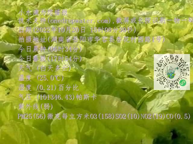 0.mp4