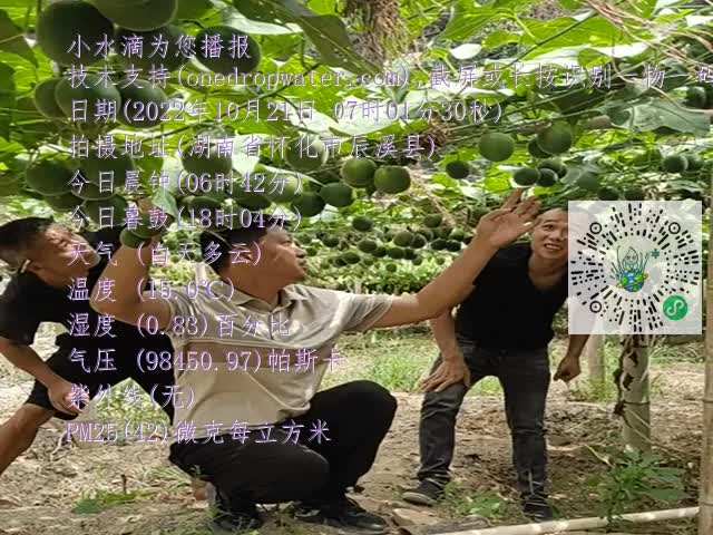 98614f292e58f9664449f9b10834ff52.mp4