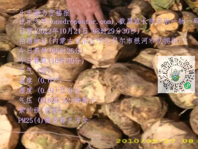 0.mp4