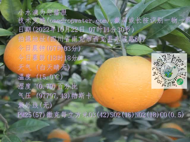 549f521e5c04fd184cea909616b9b61f.mp4