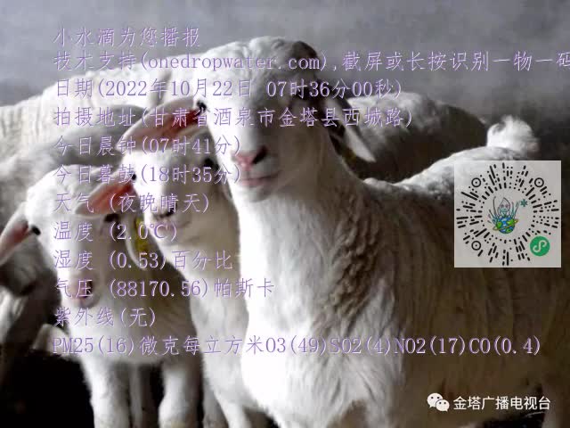 0.mp4