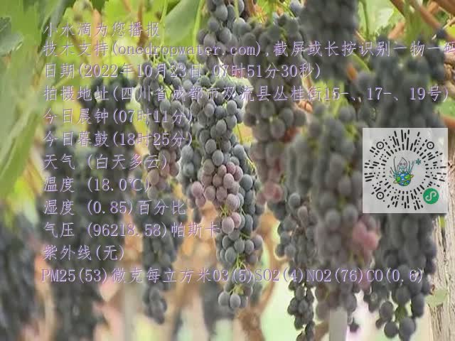 0.mp4