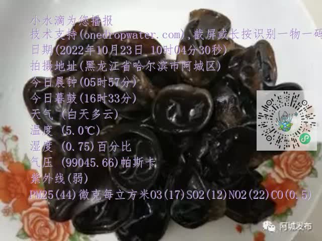 0.mp4