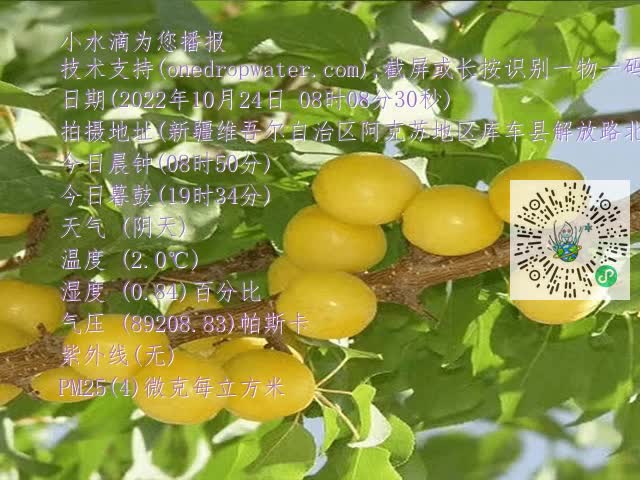 67804975fc4d755441263197e25d19dd.mp4