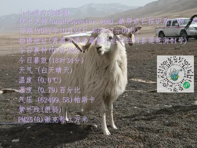 0.mp4
