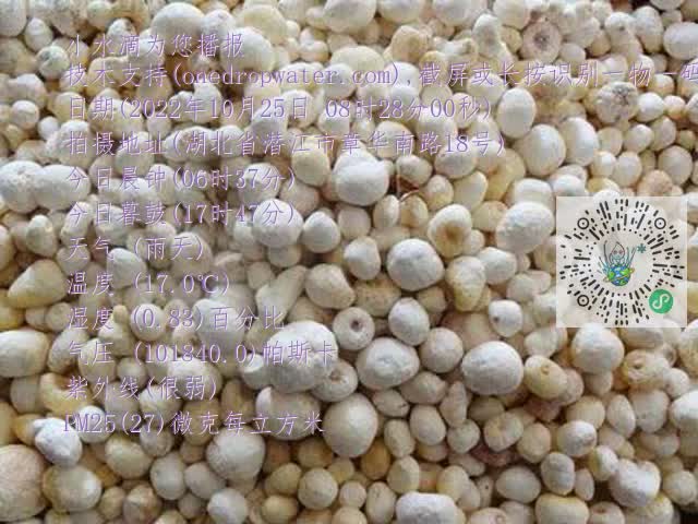 0.mp4