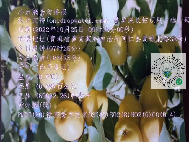0.mp4