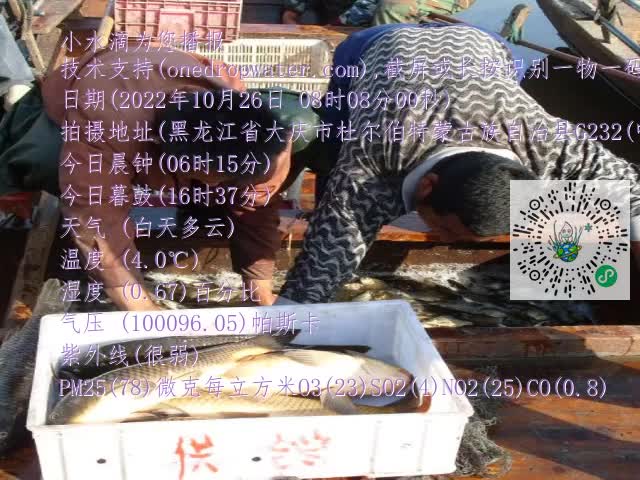 0.mp4