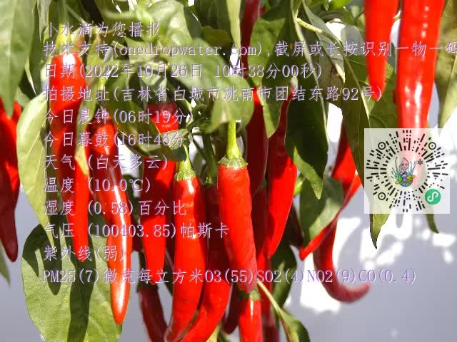 0.mp4