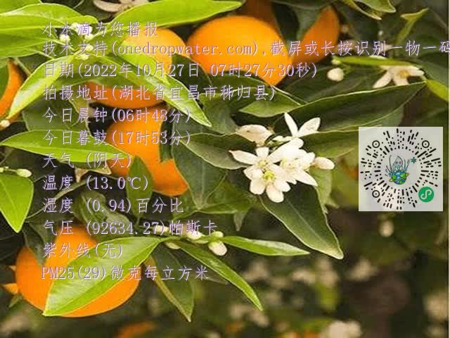 f1fac5e38601cdf40f959c1222e9362e.mp4
