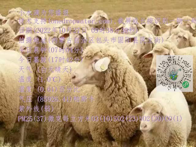 0.mp4
