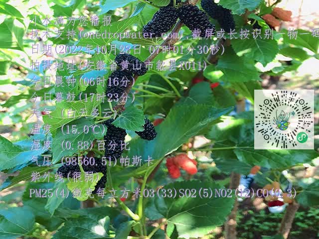 18053b670e2cd33b08f50659850fbd57.mp4