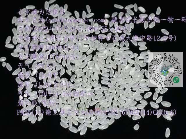 0.mp4