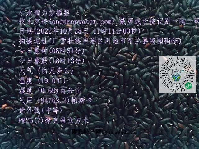 0.mp4