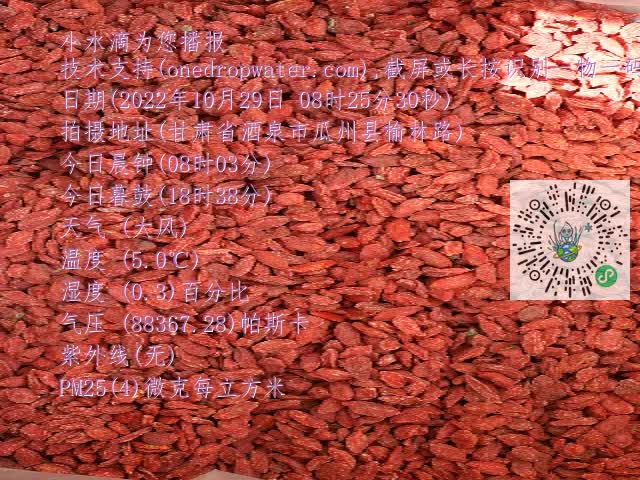 0.mp4