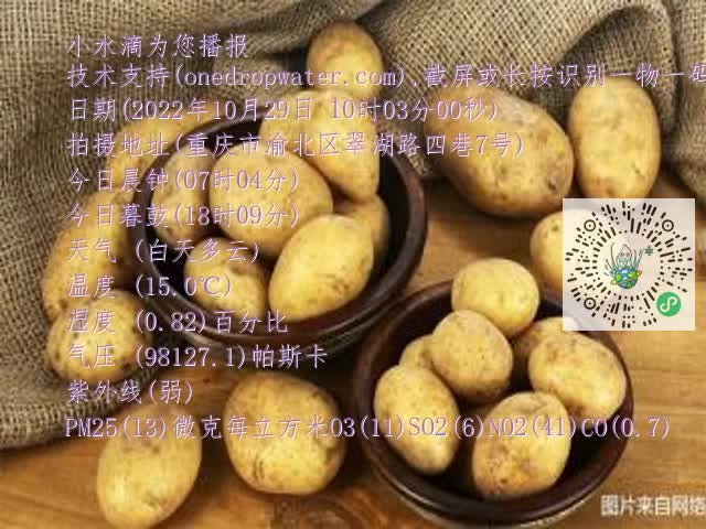 0.mp4