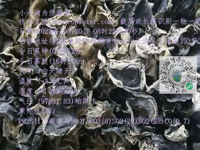 0.mp4