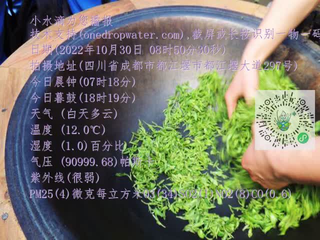 0.mp4