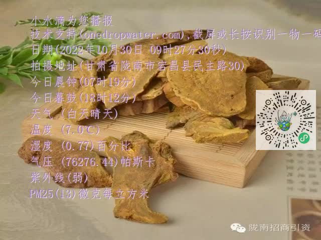 0.mp4