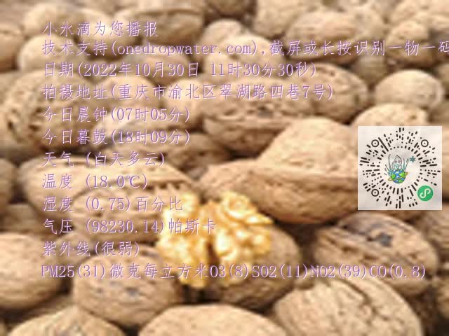 0.mp4