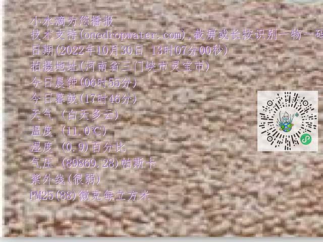 0.mp4