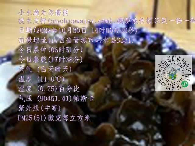 0.mp4