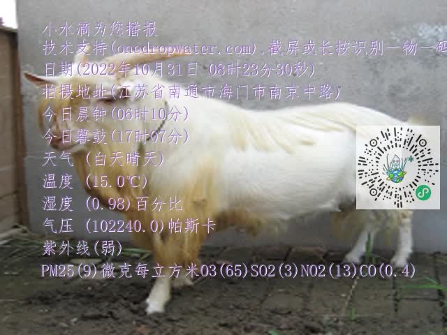 0.mp4