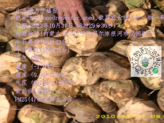 0.mp4