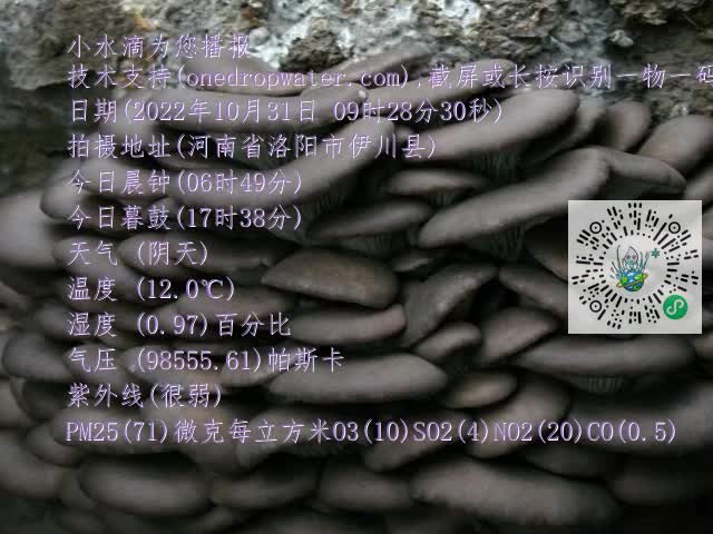 0.mp4