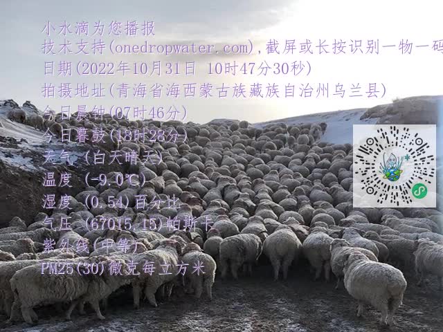 20a37bd5021d21591bac0a734073c578.mp4