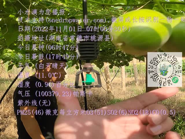 09a7db86497f5b2fde7f575a34e1a081.mp4