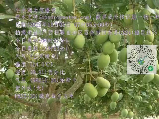 8ef11e115cff7ad3080e45ead4504c5b.mp4