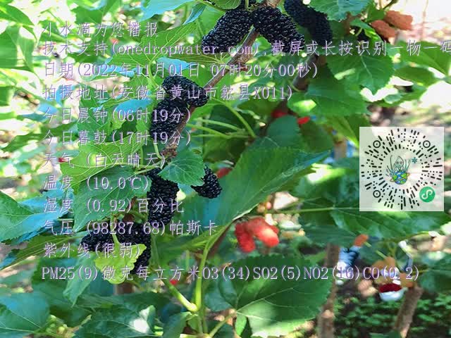 18053b670e2cd33b08f50659850fbd57.mp4
