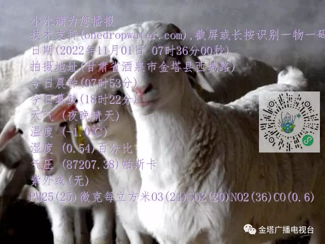 0.mp4