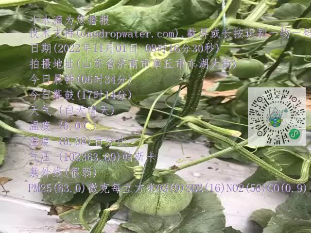 0.mp4