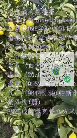 lqU4JyVN3Mnisp9E3eTI834bewO5mp4