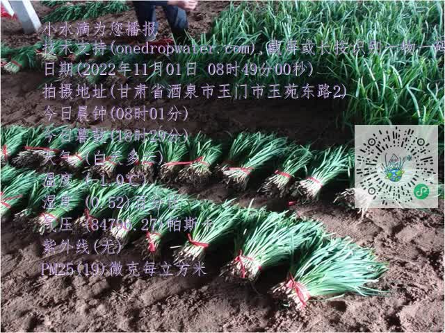 0.mp4