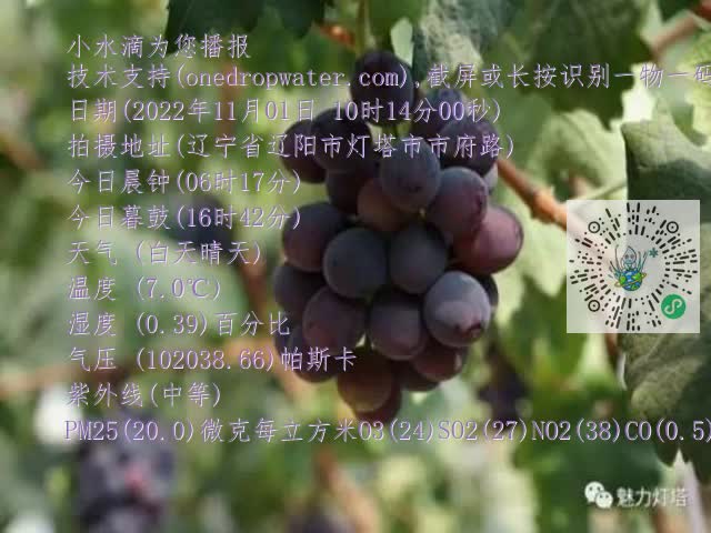 0.mp4