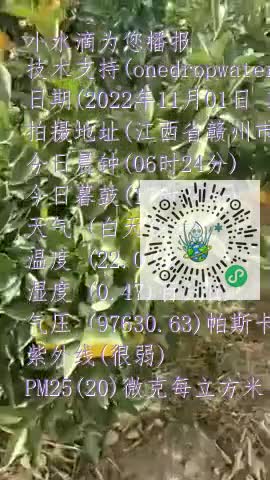 FjLqJH5fp368hvlEYIir_zVV-GjHmp4