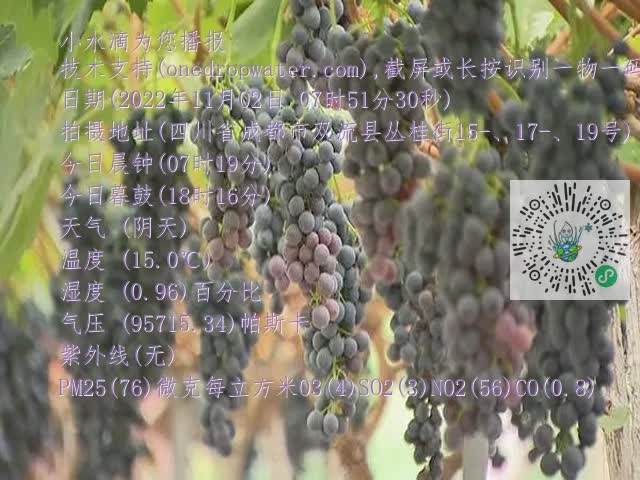 0.mp4