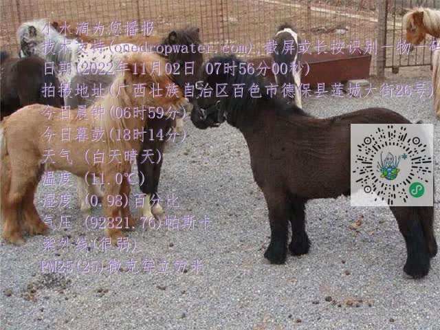 0.mp4