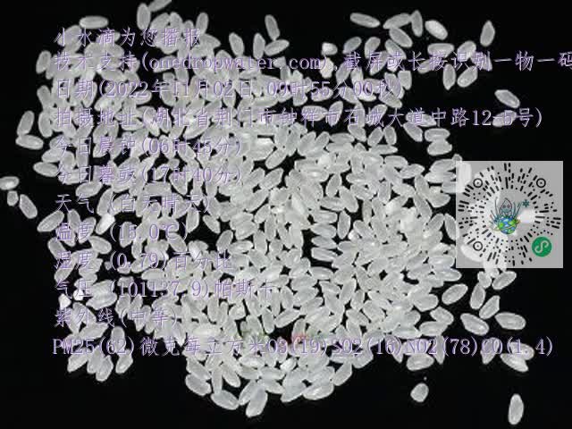 0.mp4