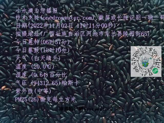 0.mp4