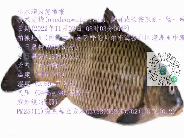 0.mp4