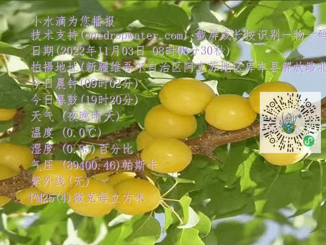 67804975fc4d755441263197e25d19dd.mp4