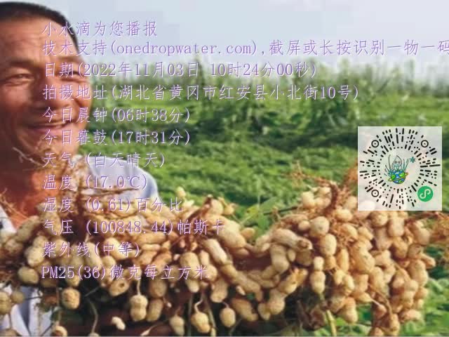 0.mp4