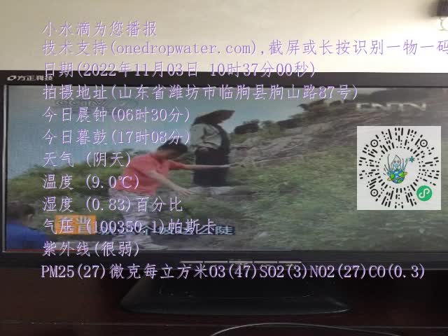 0.mp4