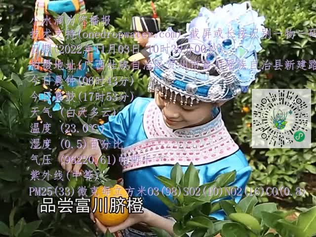 dd8090a4e4d4c7718ed15ab6692d8051.mp4