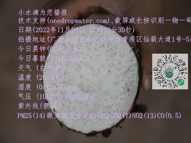 0.mp4