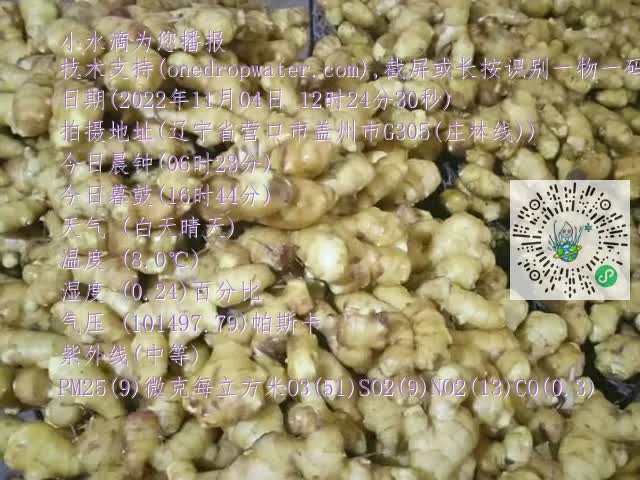 0.mp4